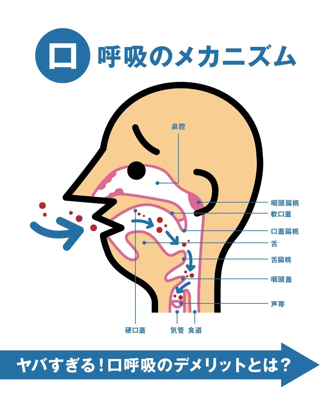 呼吸〜口呼吸〜