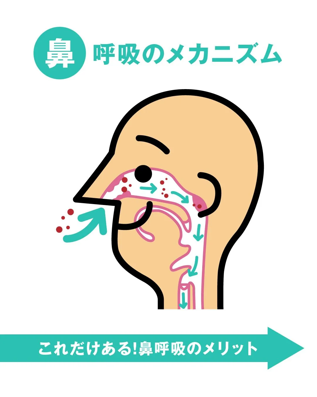 呼吸〜鼻呼吸〜