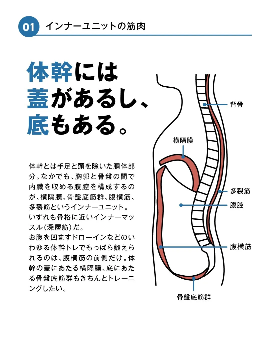 呼吸と体幹