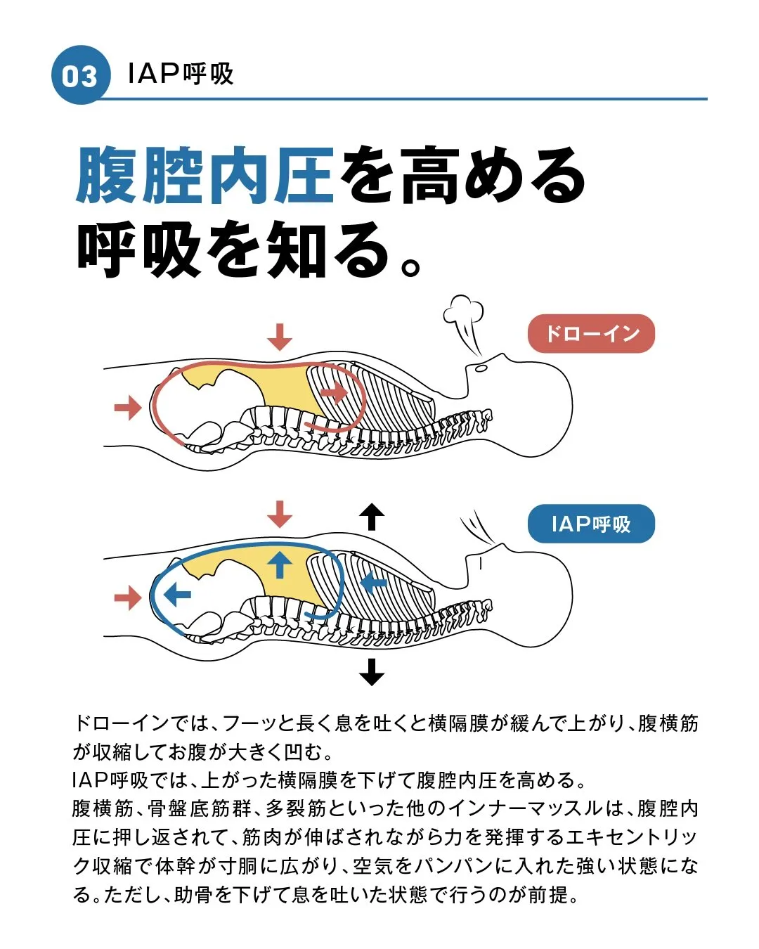 呼吸と体幹