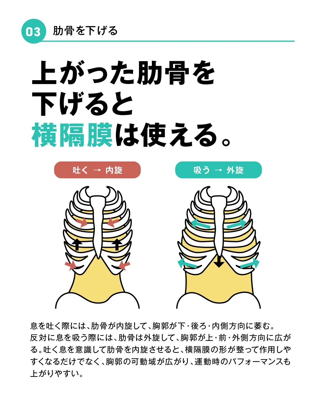 呼吸と体幹