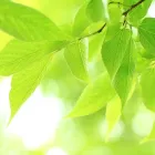 プライバシーポリシー